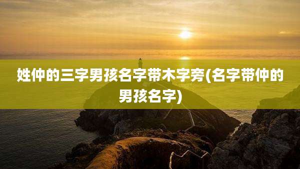 姓仲的三字男孩名字带木字旁(名字带仲的男孩名字)