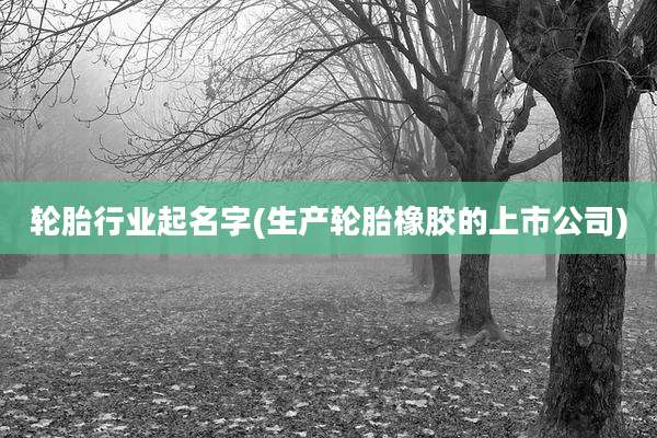 轮胎行业起名字(生产轮胎橡胶的上市公司)