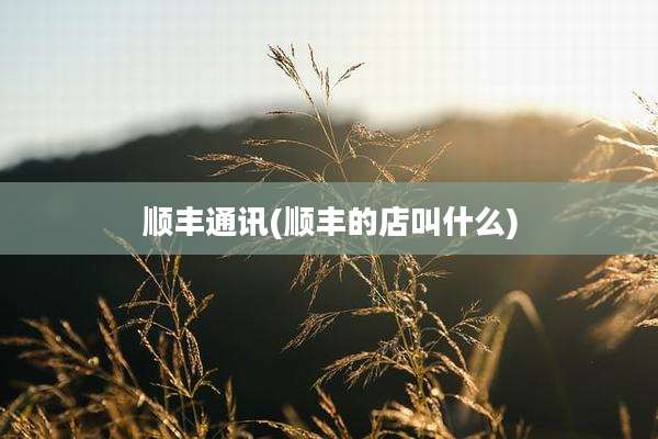 顺丰通讯(顺丰的店叫什么)