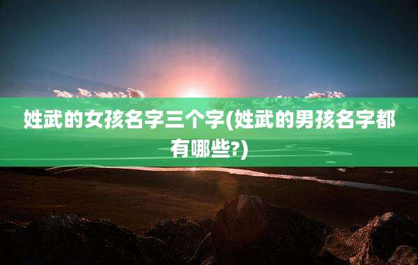 姓武的女孩名字三个字(姓武的男孩名字都有哪些?)