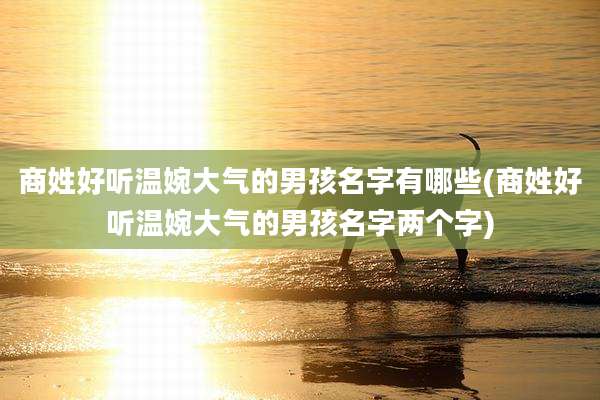 商姓好听温婉大气的男孩名字有哪些(商姓好听温婉大气的男孩名字两个字)