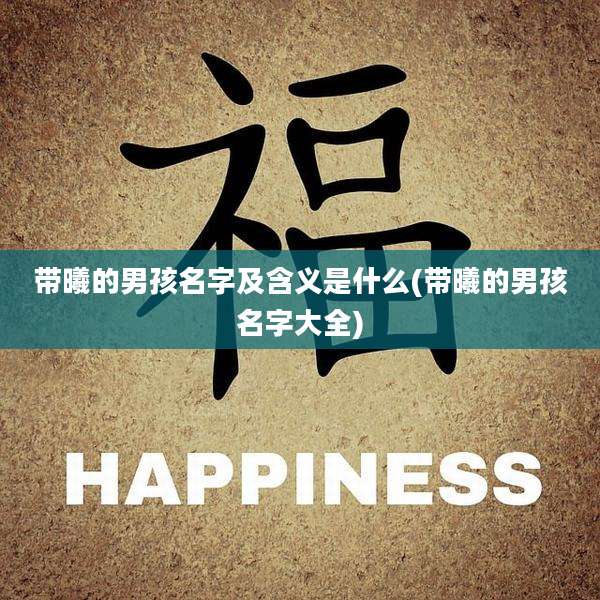 带曦的男孩名字及含义是什么(带曦的男孩名字大全)