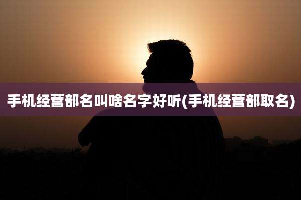 手机经营部名叫啥名字好听(手机经营部取名)
