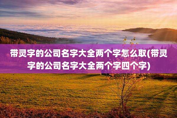 带灵字的公司名字大全两个字怎么取(带灵字的公司名字大全两个字四个字)