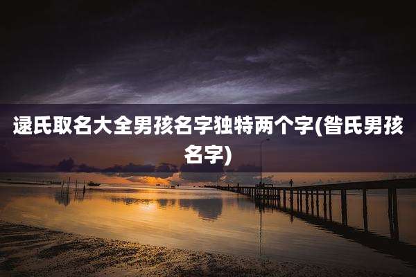 逯氏取名大全男孩名字独特两个字(昝氏男孩名字)