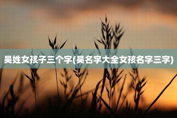 吴姓女孩子三个字(吴名字大全女孩名字三字)