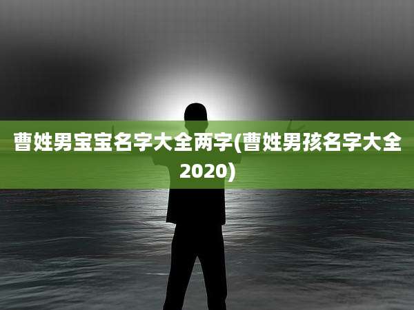 曹姓男宝宝名字大全两字(曹姓男孩名字大全2020)