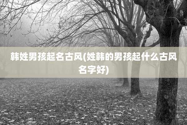 韩姓男孩起名古风(姓韩的男孩起什么古风名字好)
