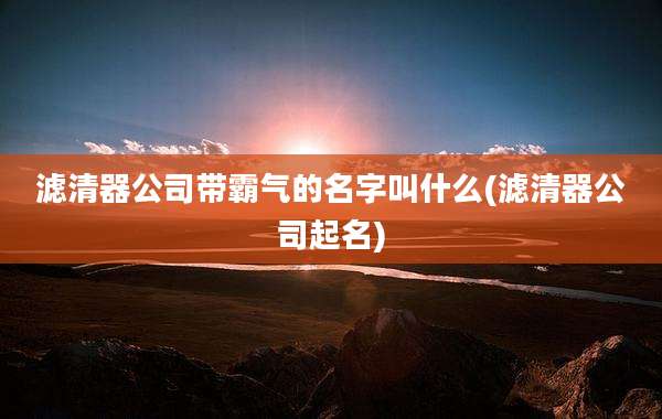 滤清器公司带霸气的名字叫什么(滤清器公司起名)