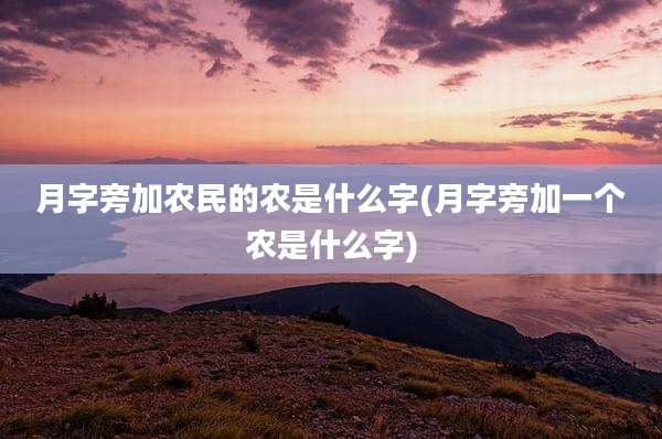 月字旁加农民的农是什么字(月字旁加一个农是什么字)
