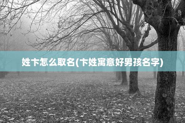 姓卞怎么取名(卞姓寓意好男孩名字)