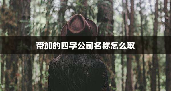带加的四字公司名称怎么取