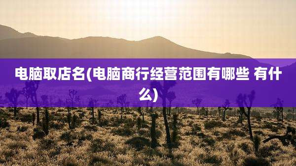电脑取店名(电脑商行经营范围有哪些 有什么)