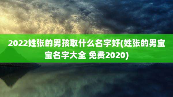 2022姓张的男孩取什么名字好(姓张的男宝宝名字大全 免费2020)