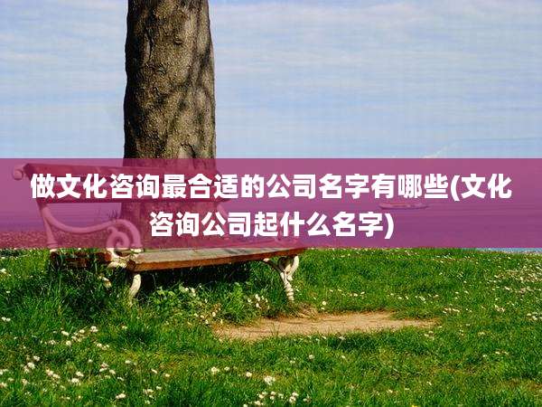 做文化咨询最合适的公司名字有哪些(文化咨询公司起什么名字)