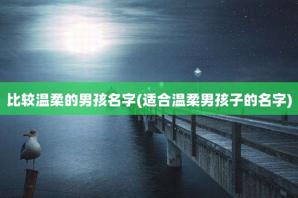 比较温柔的男孩名字(适合温柔男孩子的名字)