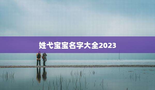 姓弋宝宝名字大全2023