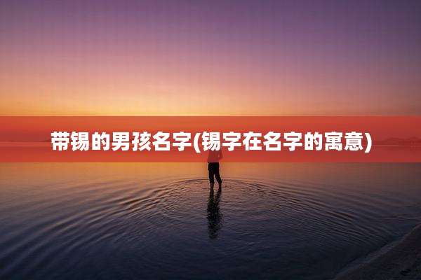 带锡的男孩名字(锡字在名字的寓意)