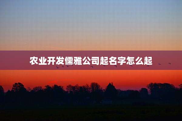 农业开发儒雅公司起名字怎么起