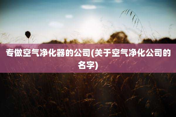 专做空气净化器的公司(关于空气净化公司的名字)