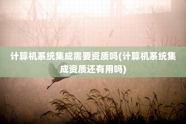 计算机系统集成需要资质吗(计算机系统集成资质还有用吗)