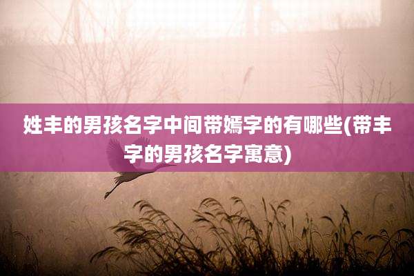 姓丰的男孩名字中间带嫣字的有哪些(带丰字的男孩名字寓意)