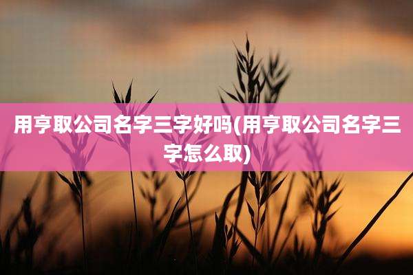 用亨取公司名字三字好吗(用亨取公司名字三字怎么取)