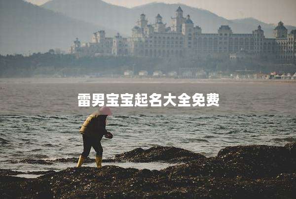 雷男宝宝起名大全免费