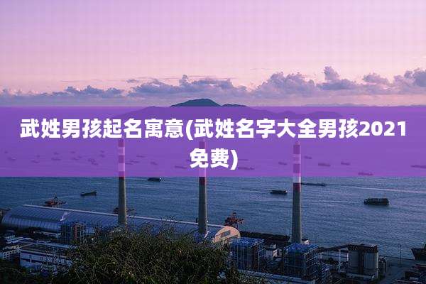 武姓男孩起名寓意(武姓名字大全男孩2021免费)