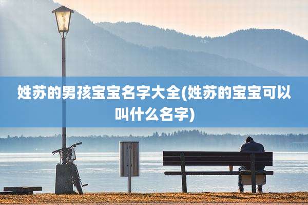 姓苏的男孩宝宝名字大全(姓苏的宝宝可以叫什么名字)