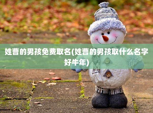 姓曹的男孩免费取名(姓曹的男孩取什么名字好牛年)