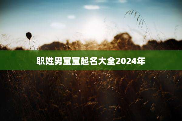 职姓男宝宝起名大全2024年