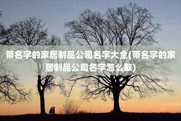 带名字的家居制品公司名字大全(带名字的家居制品公司名字怎么取)