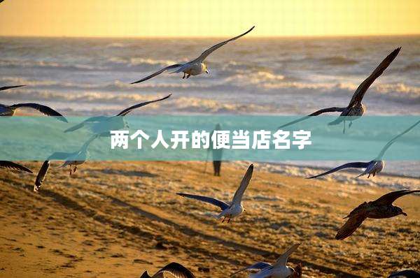 两个人开的便当店名字