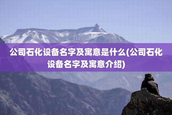 公司石化设备名字及寓意是什么(公司石化设备名字及寓意介绍)