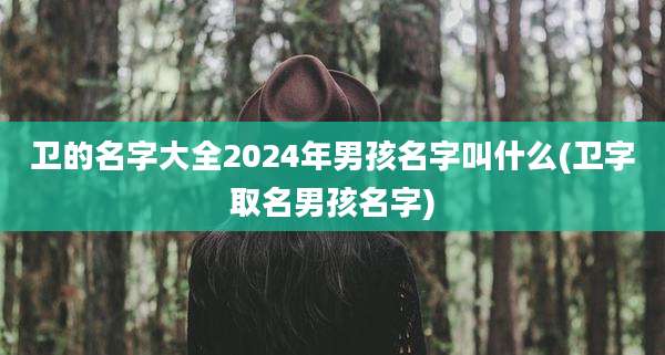 卫的名字大全2024年男孩名字叫什么(卫字取名男孩名字)