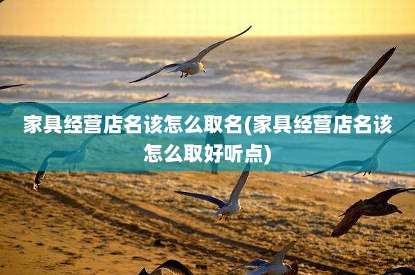 家具经营店名该怎么取名(家具经营店名该怎么取好听点)