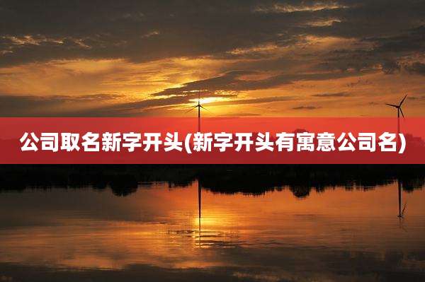 公司取名新字开头(新字开头有寓意公司名)