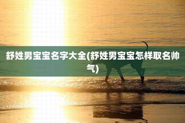 舒姓男宝宝名字大全(舒姓男宝宝怎样取名帅气)
