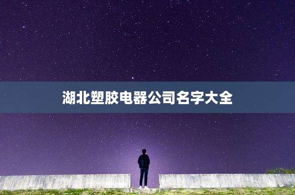 湖北塑胶电器公司名字大全