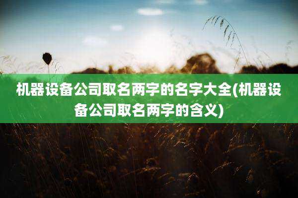 机器设备公司取名两字的名字大全(机器设备公司取名两字的含义)