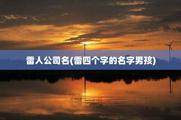 雷人公司名(雷四个字的名字男孩)