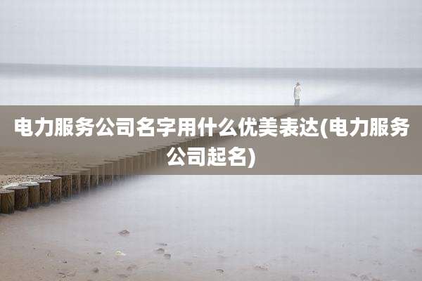 电力服务公司名字用什么优美表达(电力服务公司起名)