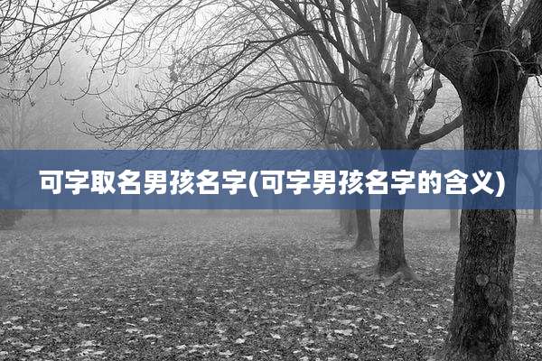 可字取名男孩名字(可字男孩名字的含义)
