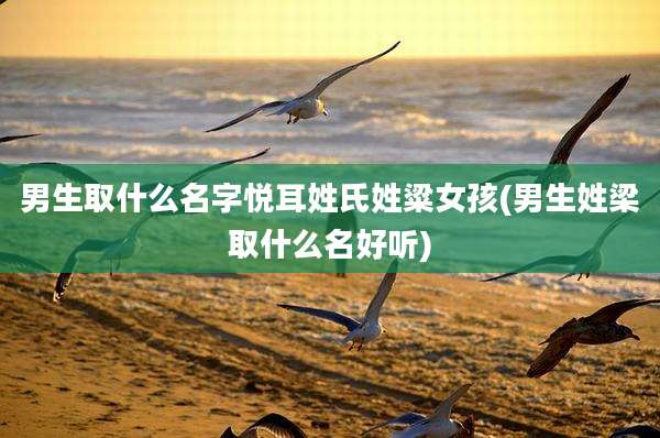 男生取什么名字悦耳姓氏姓粱女孩(男生姓梁取什么名好听)