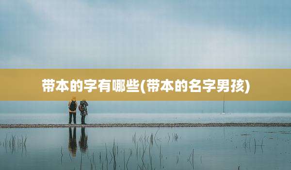 带本的字有哪些(带本的名字男孩)
