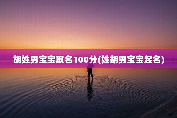 胡姓男宝宝取名100分(姓胡男宝宝起名)