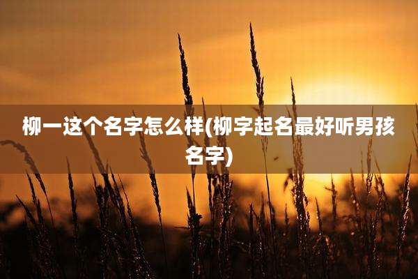 柳一这个名字怎么样(柳字起名最好听男孩名字)