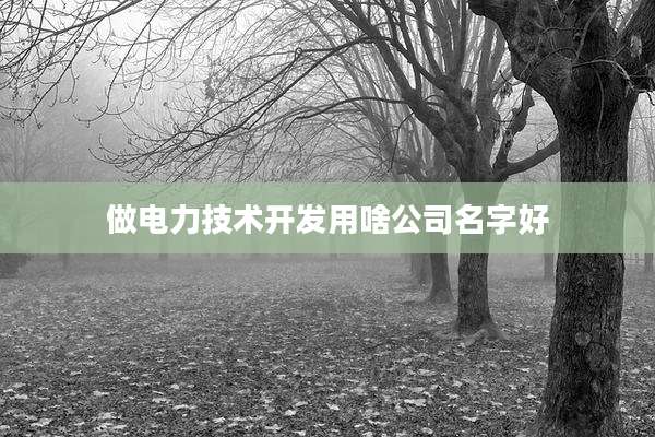 做电力技术开发用啥公司名字好