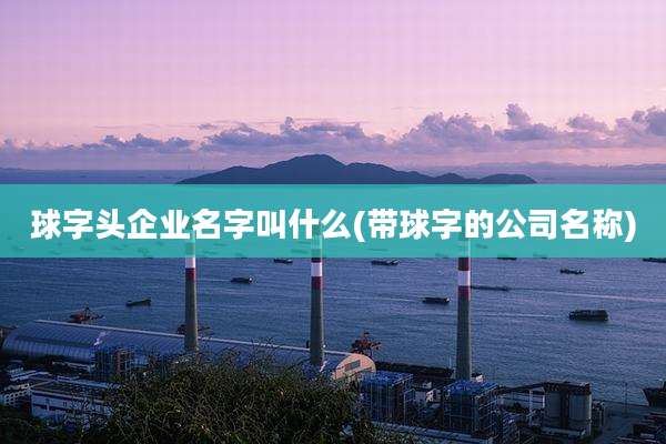 球字头企业名字叫什么(带球字的公司名称)